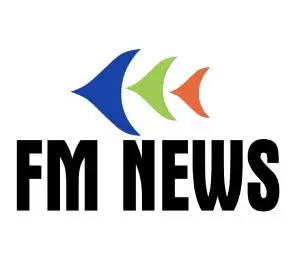 FM News colour logo